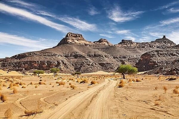 Road in Sahara Desert, Algeria