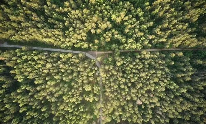 Framed Print : Road turn in forest in sunset light background aerial drone view Framed Print : Road turn in forest in sunset light background aerial drone view