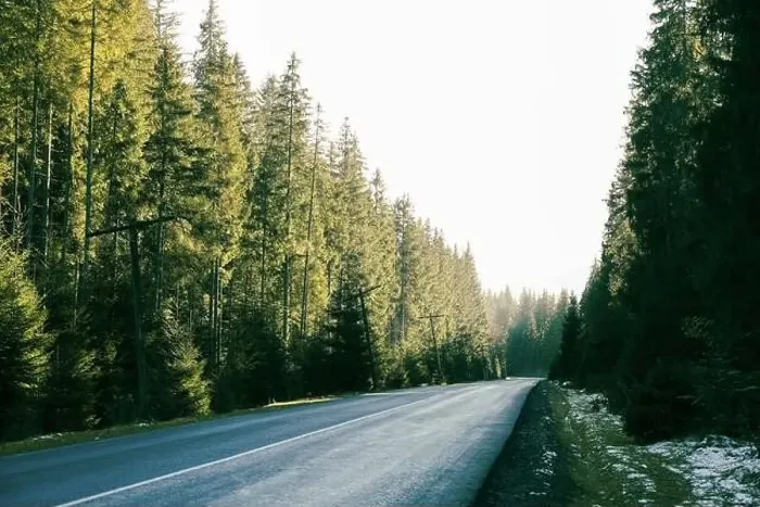 Framed Print : Road in Ukrainian Carpathian mountains in sunny day