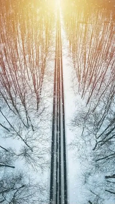 Framed Print : Road through winter forest