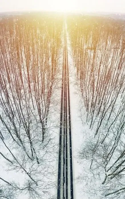 Framed Print : Road through winter forest Framed Print : Road through winter forest