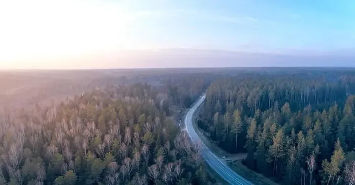 Framed Print : Road in the Woods, Aerial View Framed Print : Road in the Woods, Aerial View