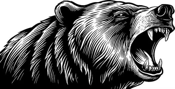 Framed Print : Roaring bear head black and white woodcut engraving for wildlife art design Framed Print : Roaring bear head black and white woodcut engraving for wildlife art design