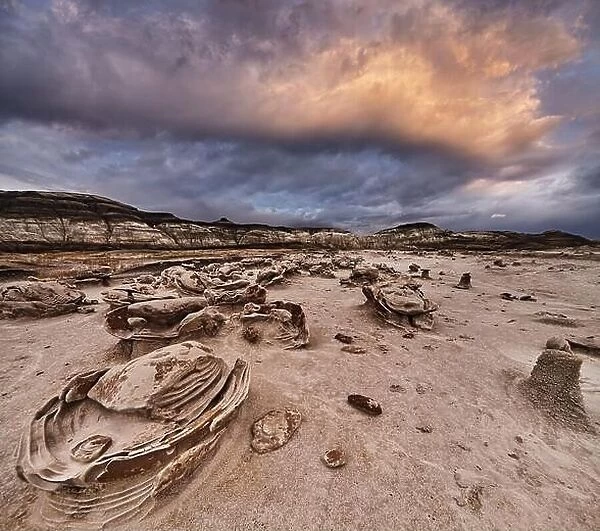 Rock formations look like cracked alien eggs, Bisti badlands desert area in New Mexico, USA
