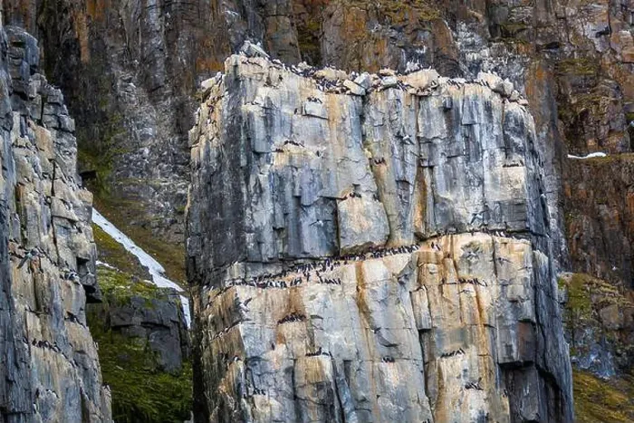 Framed Print : rocks waterfall small icebergs at the Alkefjellet between Spitsbergen and Nordaustlandet on Svalbard, Norway Framed Print : rocks waterfall small icebergs at the Alkefjellet between Spitsbergen and Nordaustlandet on Svalbard, Norway