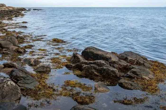 Framed Print : A rocky shoreline with blue water and a blu sky in the background. Picture from Skalderviken, southern Sweden Framed Print : A rocky shoreline with blue water and a blu sky in the background. Picture from Skalderviken, southern Sweden