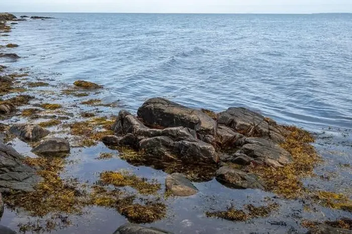 Framed Print : A rocky shoreline with blue water and a blu sky in the background. Picture from Skalderviken, southern Sweden Framed Print : A rocky shoreline with blue water and a blu sky in the background. Picture from Skalderviken, southern Sweden