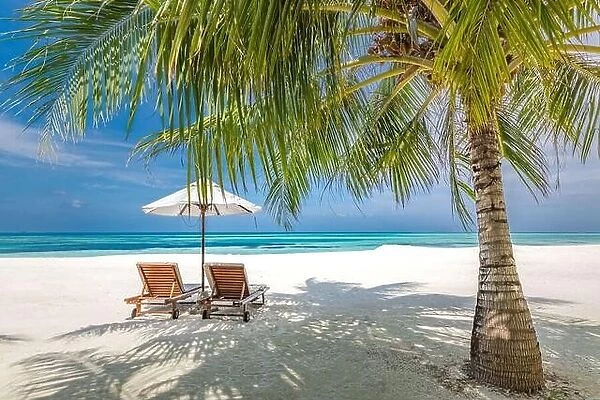 Romantic beach honeymoon destination for couples, beach chairs with palm leaves and umbrella, close to blue sea. Amazing summer vacation holiday view