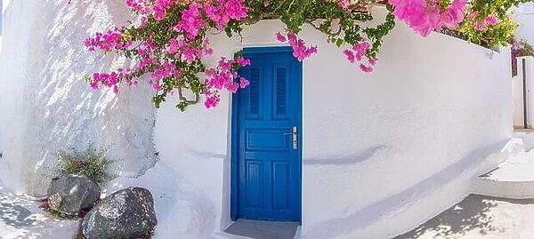 Romantic blue door with pink flowers, idyllic nature. Couple honeymoon destination, urban street banner. Santorini, Greece