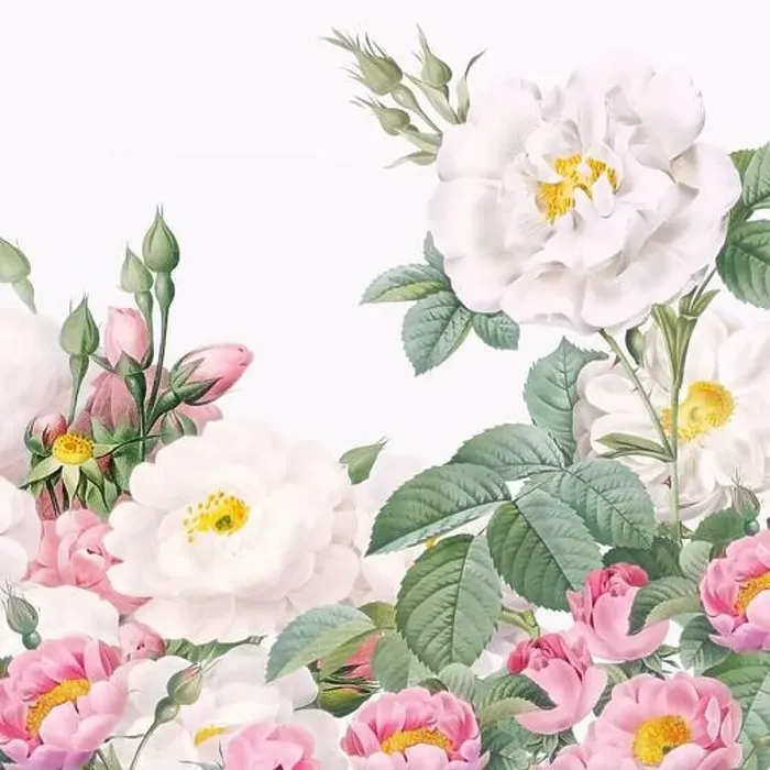 Framed Print : Rose Flowers. Floral design in a square format Framed Print : Rose Flowers. Floral design in a square format