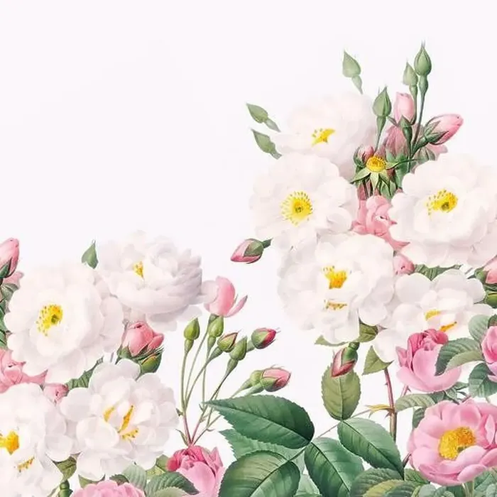 Framed Print : Rose Flowers. Floral design in a square format Framed Print : Rose Flowers. Floral design in a square format