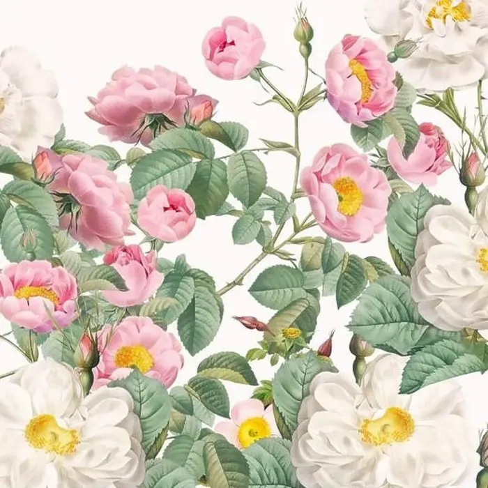 Framed Print : Rose Flowers. Floral design in a square format Framed Print : Rose Flowers. Floral design in a square format