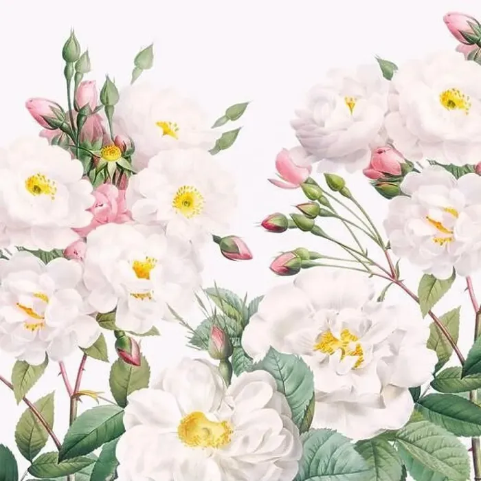 Framed Print : Rose Flowers. Floral design in a square format