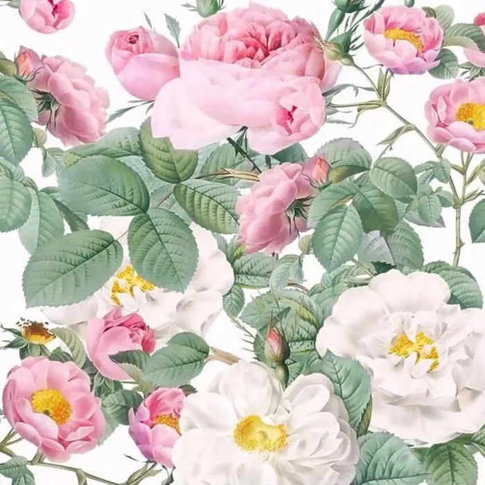 Framed Print : Rose Flowers. Floral design in a square format
