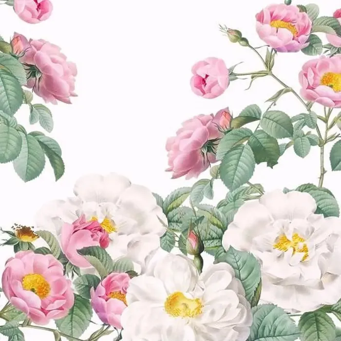 Framed Print : Rose Flowers. Floral design in a square format