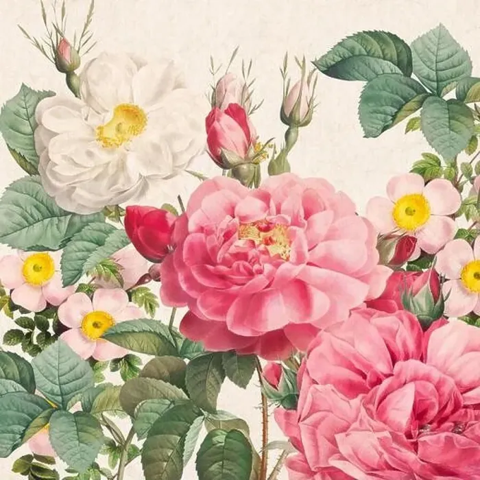 Framed Print : Rose Flowers. Floral design in a square format