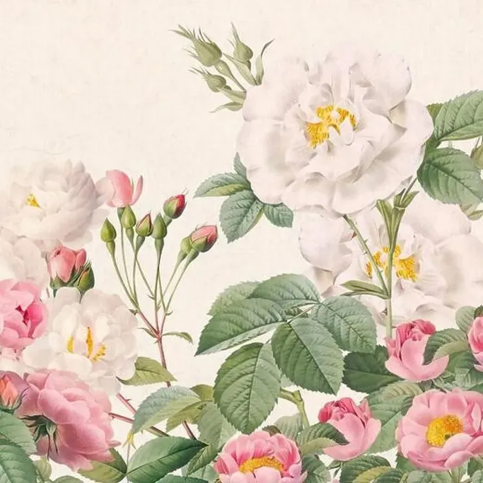 Framed Print : Rose Flowers. Floral design in a square format