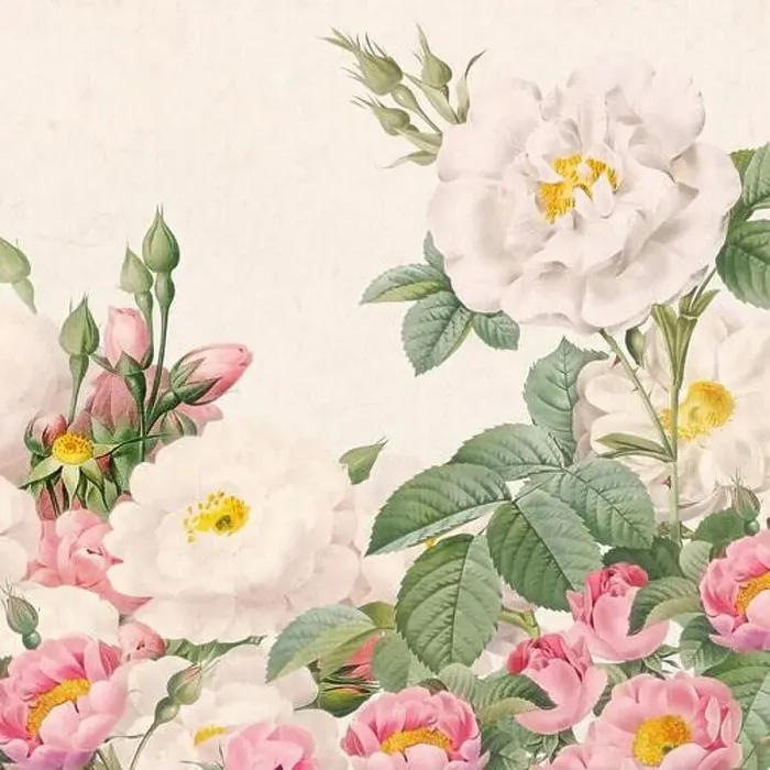Framed Print : Rose Flowers. Floral design in a square format Framed Print : Rose Flowers. Floral design in a square format