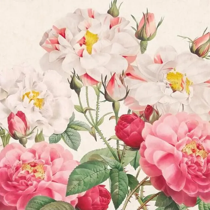 Framed Print : Rose Flowers. Floral design in a square format