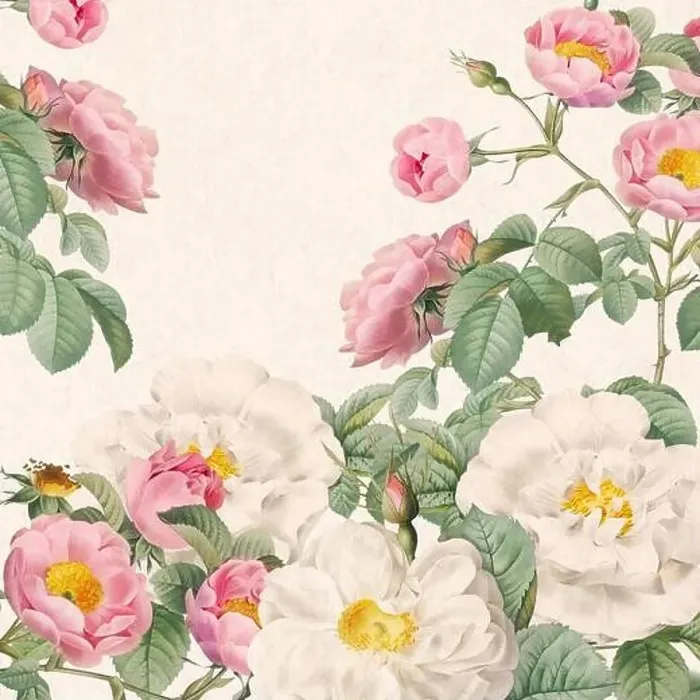 Framed Print : Rose Flowers. Floral design in a square format Framed Print : Rose Flowers. Floral design in a square format