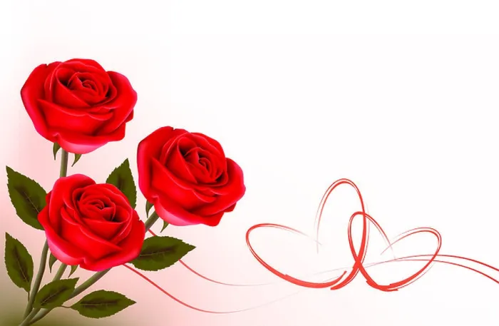 Framed Print : Three roses with heart. Valentine background Framed Print : Three roses with heart. Valentine background