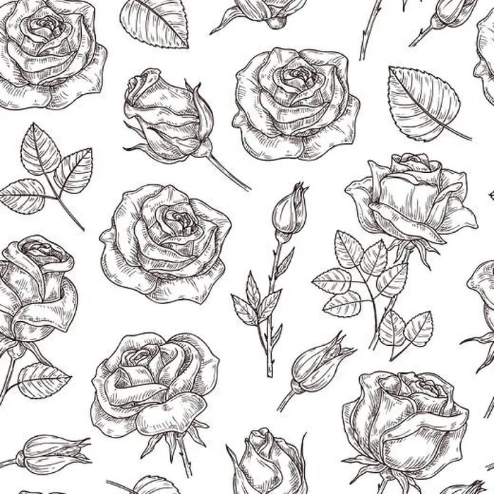Framed Print : Roses seamless pattern. Rose print Framed Print : Roses seamless pattern. Rose print