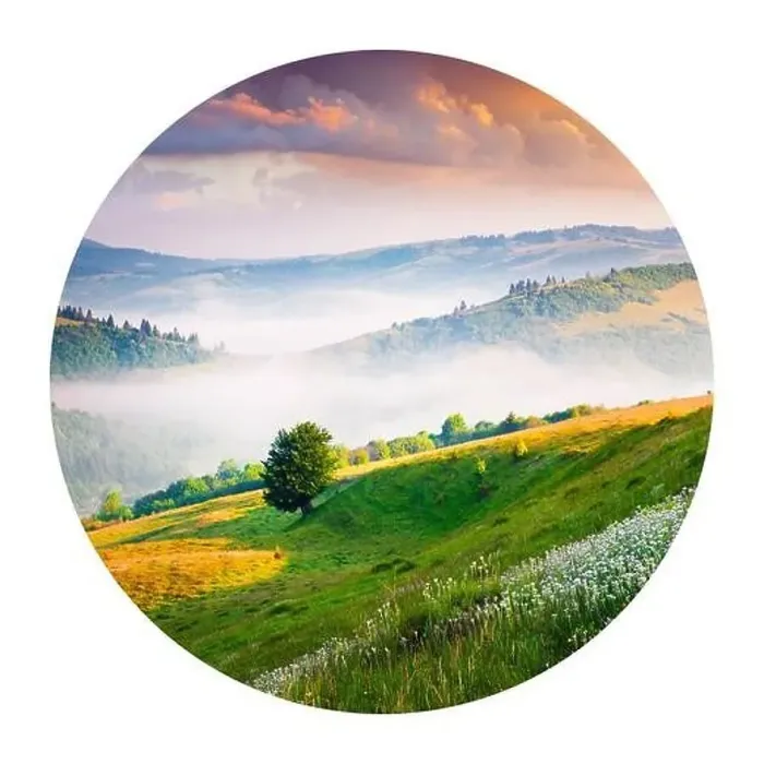 Framed Print : Round icon of nature with landscape