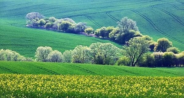 Rural landscape with agricultural fields and trees on spring hills. South Moravia region, Czech Republic