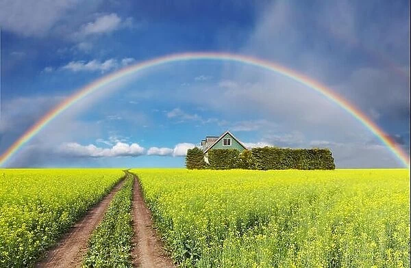 Rural landscape with rainbow over blooming field and house