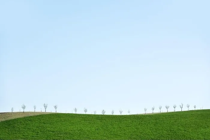 Framed Print : Rural minimal spring landscape with green hill and young trees Framed Print : Rural minimal spring landscape with green hill and young trees