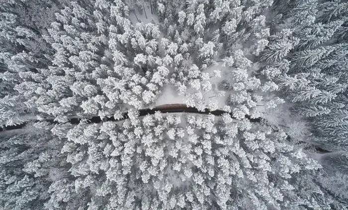 Framed Print : Rural road in winter forest background above top view Framed Print : Rural road in winter forest background above top view