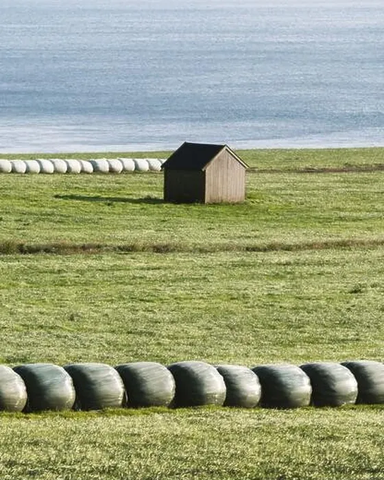 Framed Print : Rural scene with farm field and hay stacks on the Faroe Islands Framed Print : Rural scene with farm field and hay stacks on the Faroe Islands