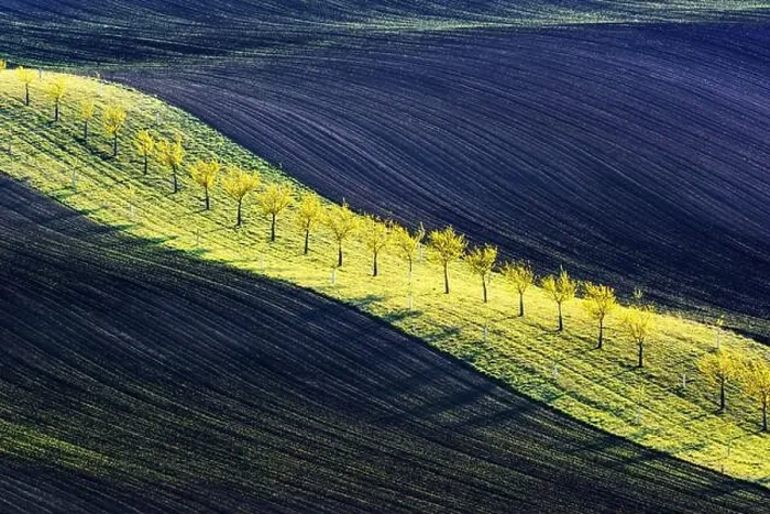 Framed Print : Rural spring landscape with colored striped hills and trees garden. Green and brown waves of the agricultural fields of South Moravia, Czech Republic Framed Print : Rural spring landscape with colored striped hills and trees garden. Green and brown waves of the agricultural fields of South Moravia, Czech Republic