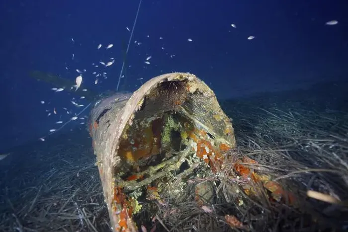 Framed Print : Rusty cockpit of a submerged aircraft wreck surrounded by seagrass