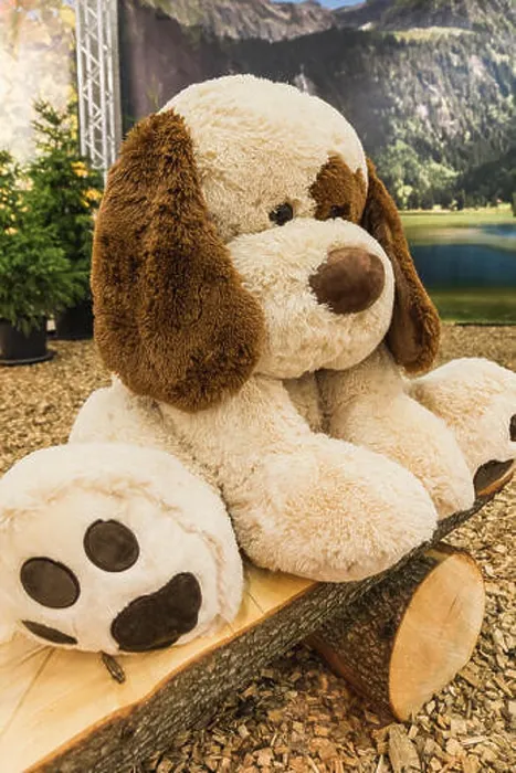 Framed Print : sad big stuffed white dog doll on a wooden bench, switzerland Framed Print : sad big stuffed white dog doll on a wooden bench, switzerland