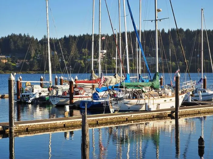 Framed Print : many Sailboats moored in harbor Florence Oregon Pacific Coast Siuslaw River with reflections in the water Framed Print : many Sailboats moored in harbor Florence Oregon Pacific Coast Siuslaw River with reflections in the water