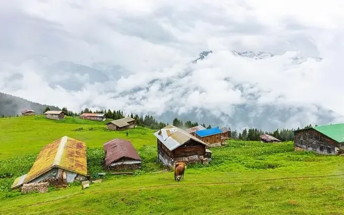 Framed Print : SAL PLATEAU in Camlihemsin district of Rize province. Kackar Mountains region. Rize, Turkey Framed Print : SAL PLATEAU in Camlihemsin district of Rize province. Kackar Mountains region. Rize, Turkey