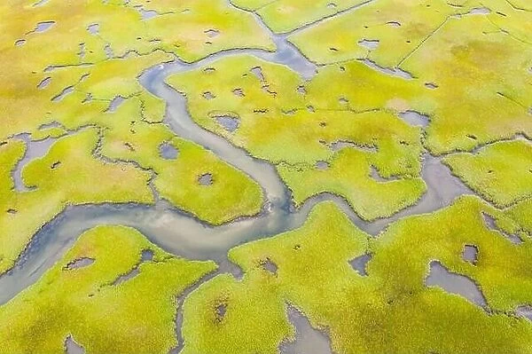 Salt marshes and estuaries are found throughout Cape Cod, Massachusetts. They provide calm nesting, feeding and breeding habitat for many species