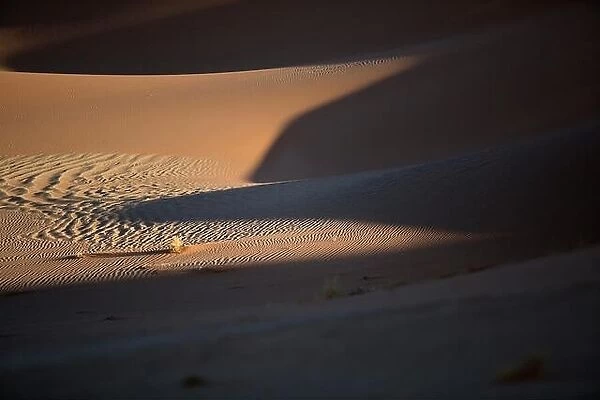 Sand dune abstract taken in Sossusveli, Namibia