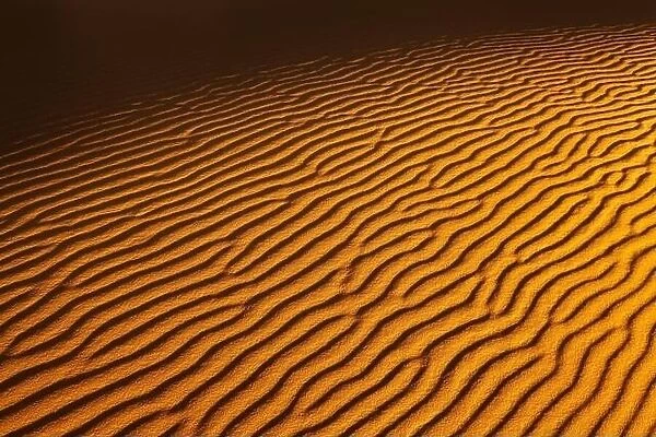 Sand dune background in Sahara Desert at sunset