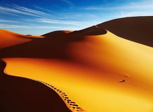 Sand dune with footprints at sunrise, Sahara Desert, Algeria