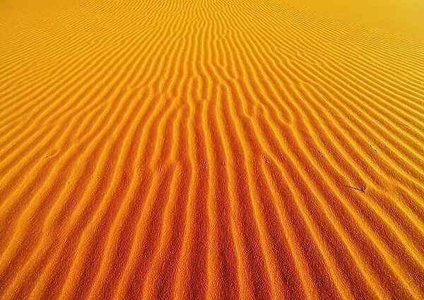 Sand dune in Sahara Desert