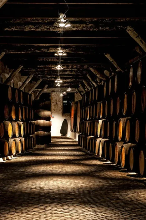 Framed Print : Sandeman storehouse, Barrels, Vila Nova de Gaia, Porto, Portugal Framed Print : Sandeman storehouse, Barrels, Vila Nova de Gaia, Porto, Portugal
