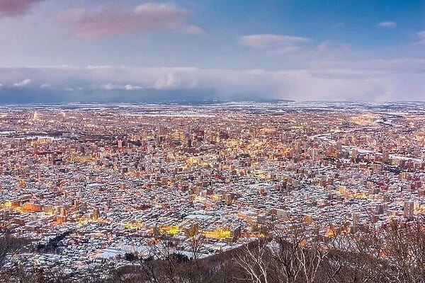 Sapporo, Japan aerial skyline view in winter