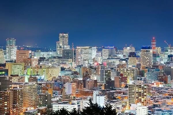 Sapporo, Japan downtown cityscape at night