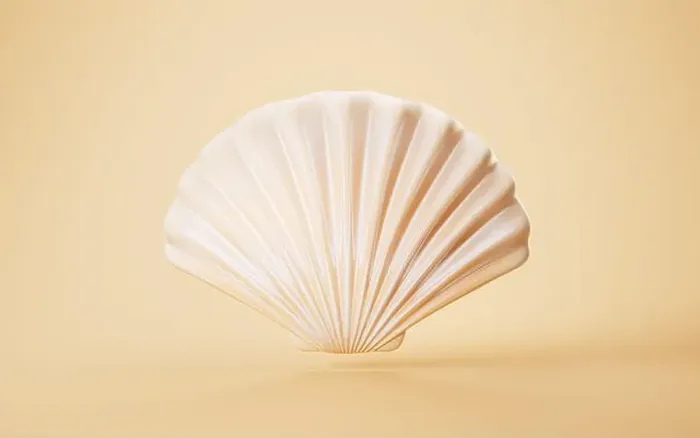 Framed Print : Scallop shell with cartoon style, 3d rendering. 3D illustration Framed Print : Scallop shell with cartoon style, 3d rendering. 3D illustration