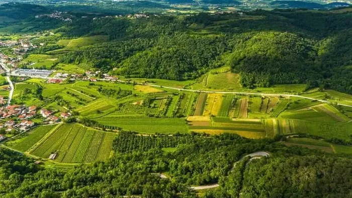 Framed Print : Scenic Aerial Shot of Rolling Vineyards in Vipava Valley, Slovenia