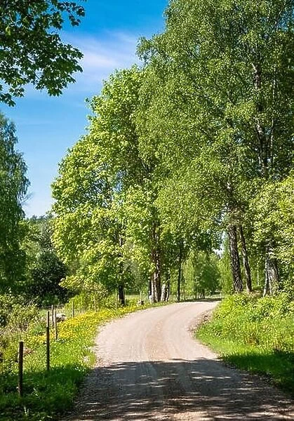 Scenic countryside landscape with curvy road and fence at sunny summer day at Finland