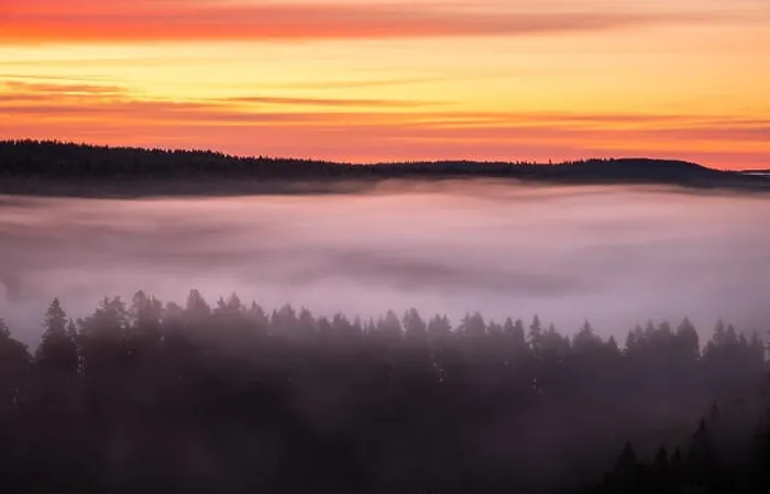 Framed Print : Scenic foggy landscape with mood forest at summer morning at National park, Finland. High angle aerial view Framed Print : Scenic foggy landscape with mood forest at summer morning at National park, Finland. High angle aerial view