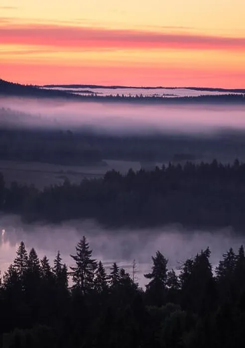 Framed Print : Scenic foggy landscape with mood forest at summer morning at National park, Finland. High angle aerial view Framed Print : Scenic foggy landscape with mood forest at summer morning at National park, Finland. High angle aerial view